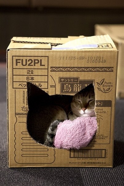 кошачий домик из картонной коробки