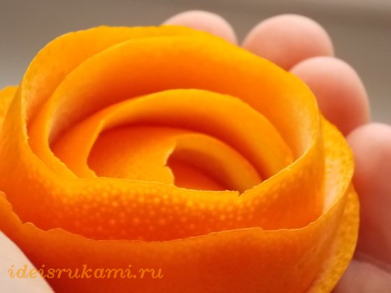 Апельсиновые розы